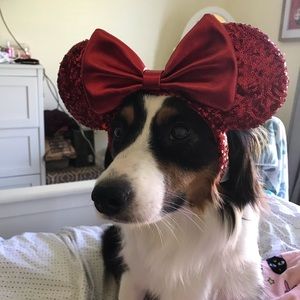 Meet your Posher, Meggie